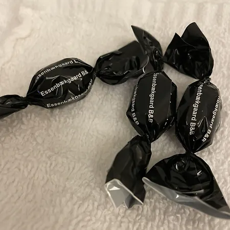 Bed & Breakfast Essenbaekgaard Assentoft